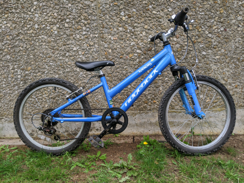 ridgeback 20 inch